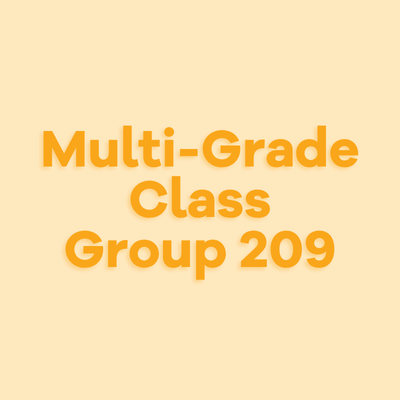 Image Multi-Grade Class – Group 209